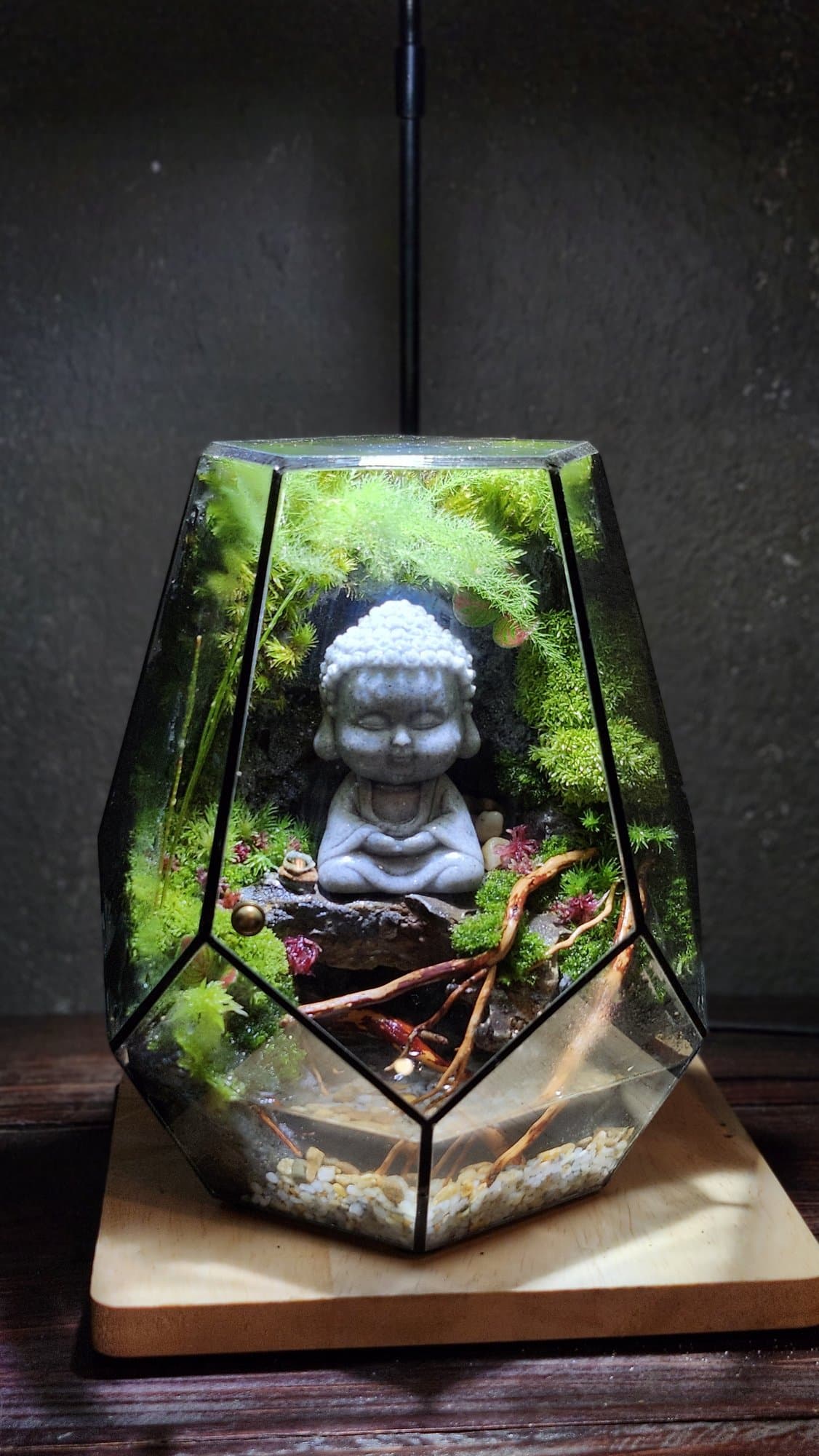 Đa Giác — Phật Chibi Thiền Tĩnh