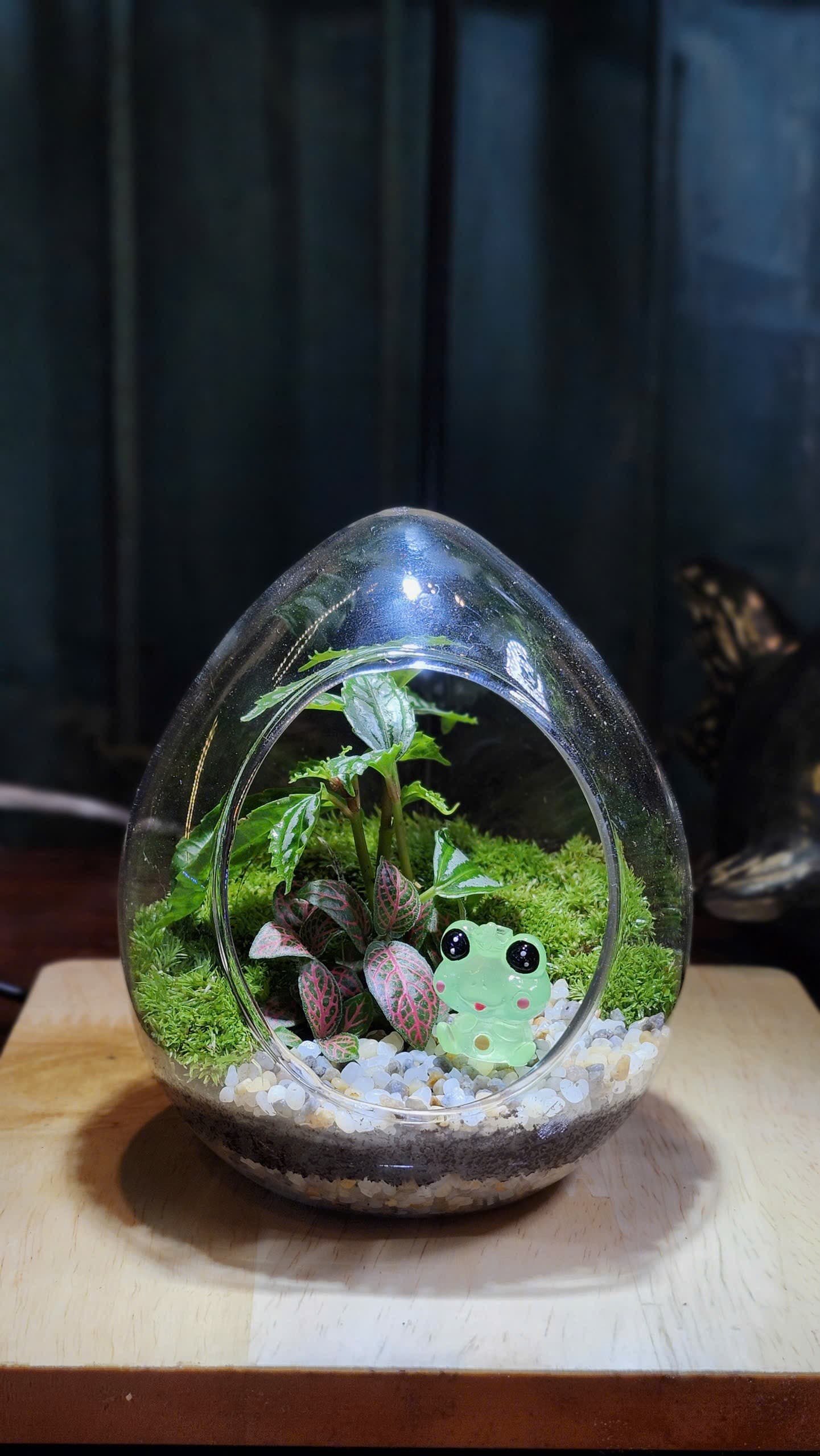 Chậu — Chú Ếch Vui