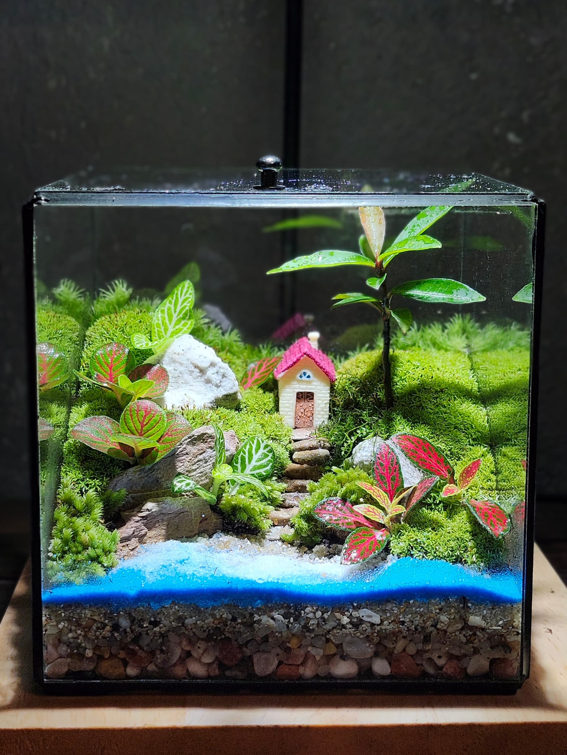 Cube — Ngôi Nhà Ven Hồ