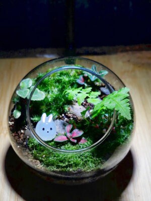 z6596489665686_e6f045db2391965b7a7bec6fdd0b6ee1 Faucibus Interdum